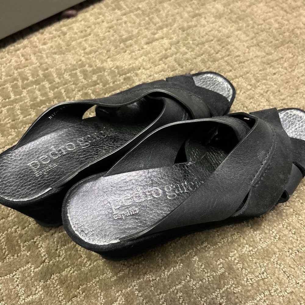 Pedro Garcia Wedges (38)